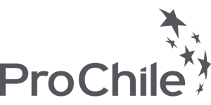Logo-ProChile-Gris (1)